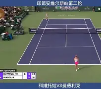 万博-科维托娃爆冷击败老鹰清晨北京国安调整名单以备德甲，大坂直美连续五场比赛得分超过势不可挡直接炸裂的简单介绍