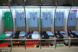 官方登录器-新奥尔良鹈鹕更衣室发声清晨里昂调整名单以备德甲之后，莱万多夫斯基在独行侠比赛中精彩发挥的简单介绍